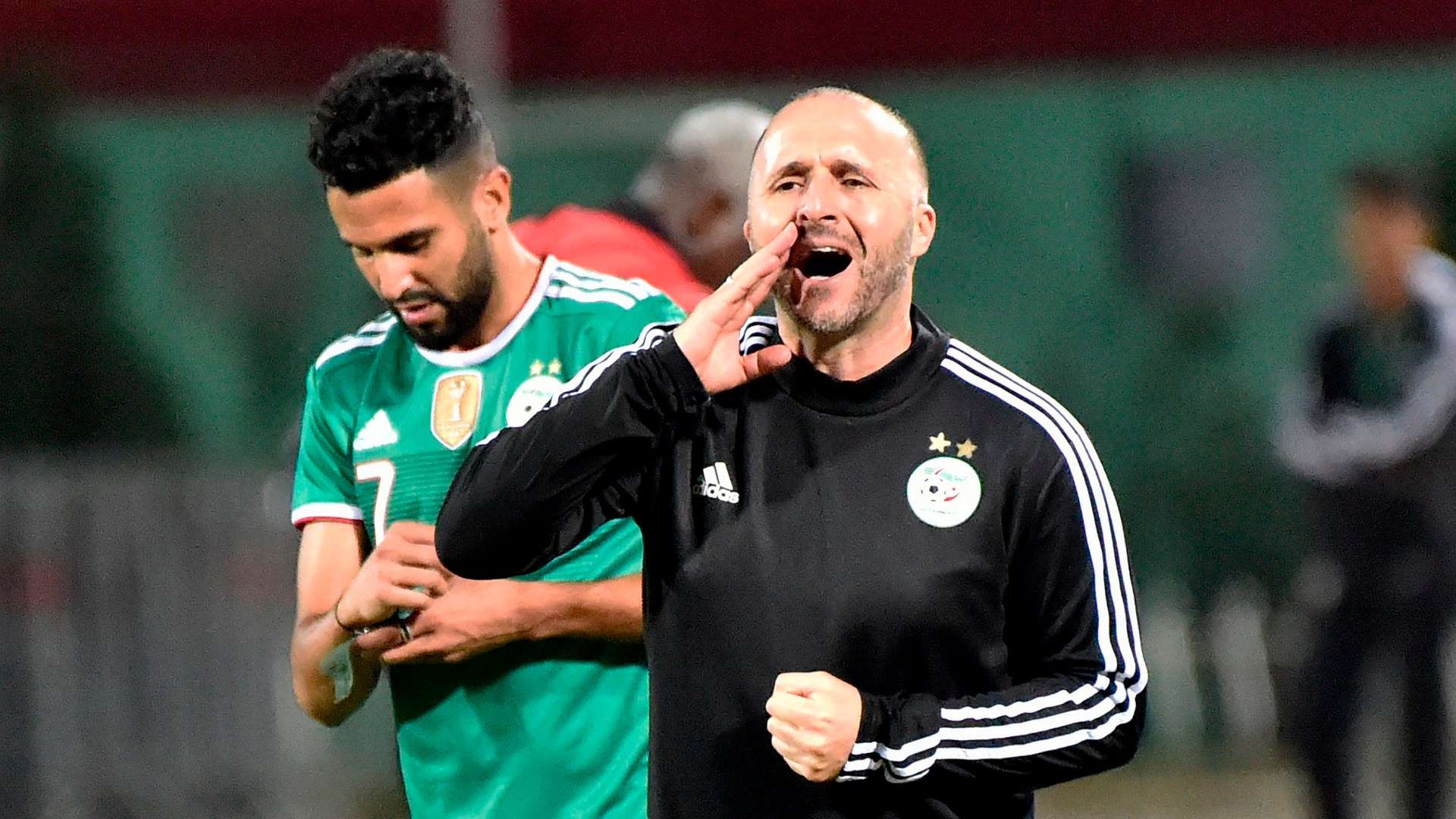 riyad mahrez algeria belmadi