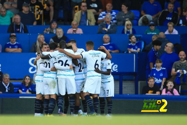 dortmund vs hoffenheim