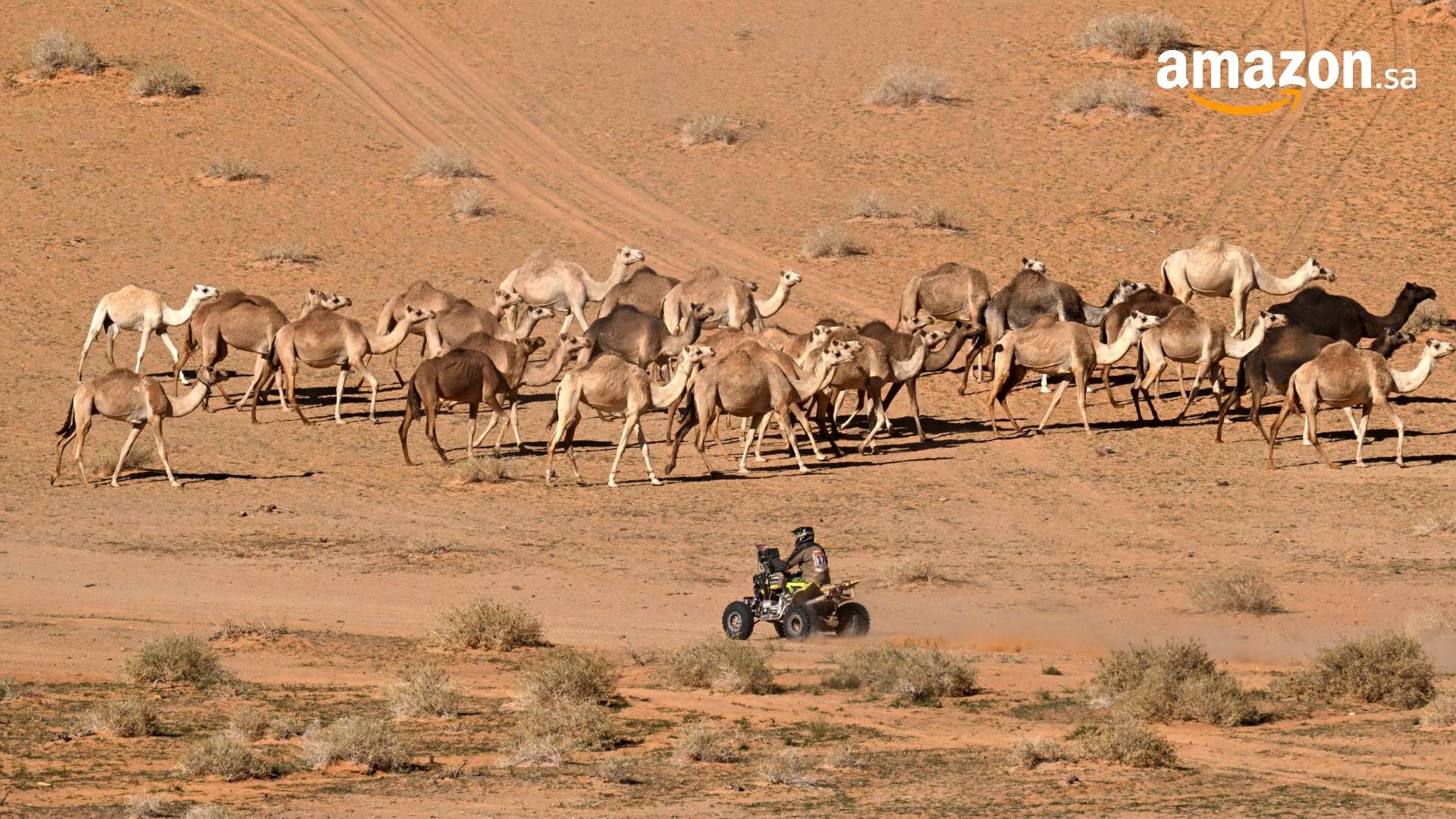 أتلتيكو مدريد ضد خيتافي