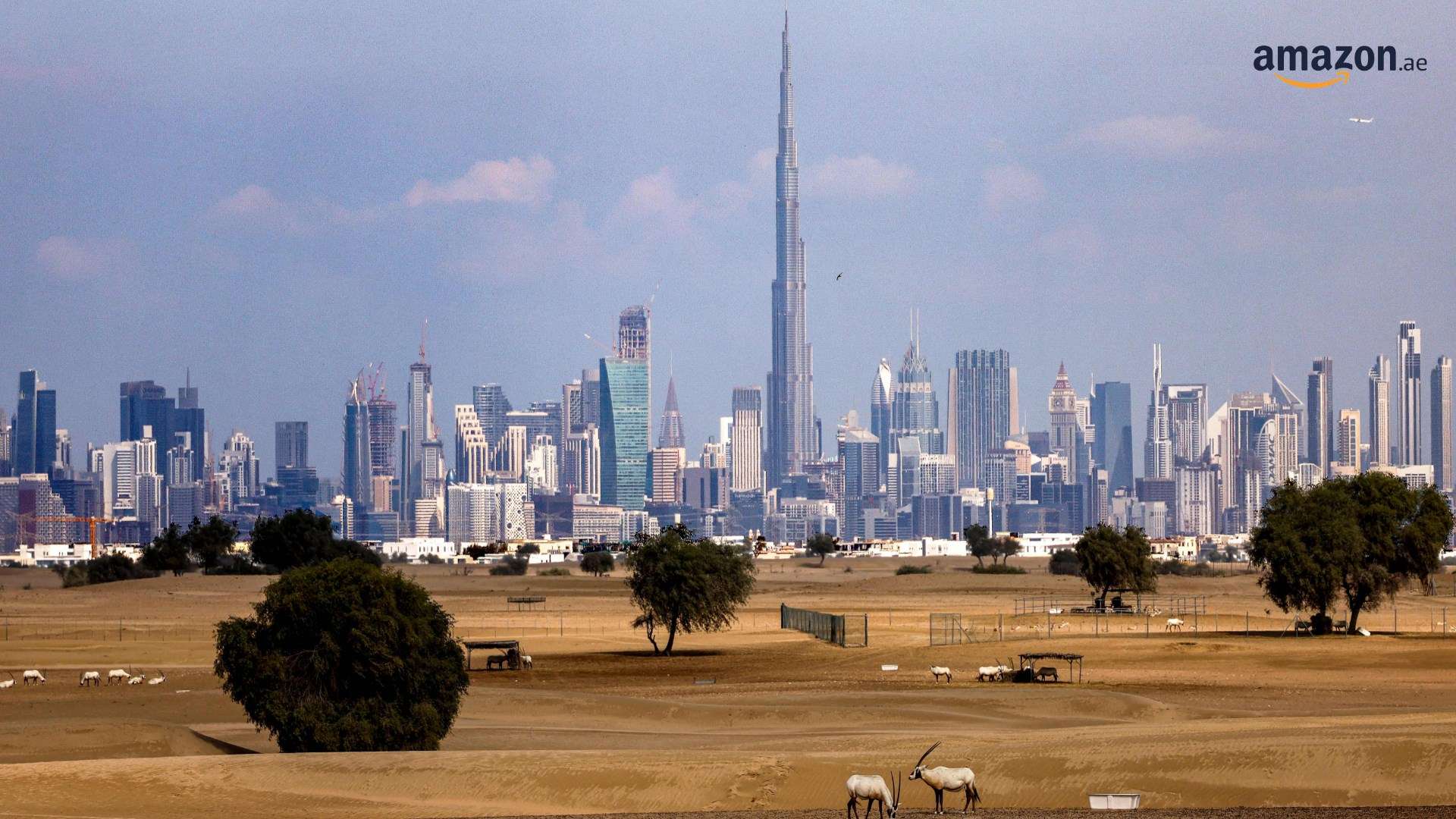 تفاصيل مباراة ريال مدريد ويوفنتوس