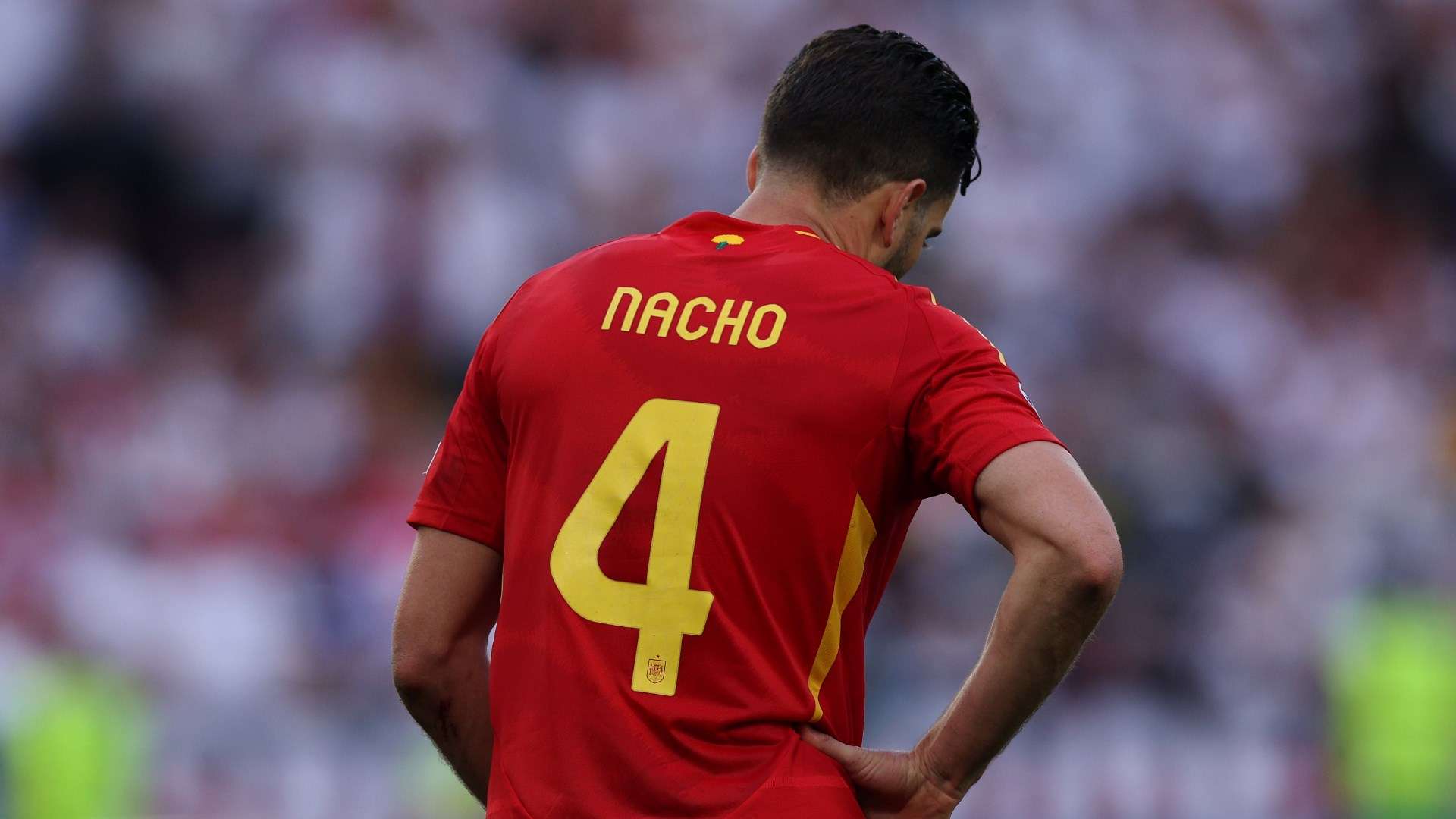 Nacho Spain Euro 2024