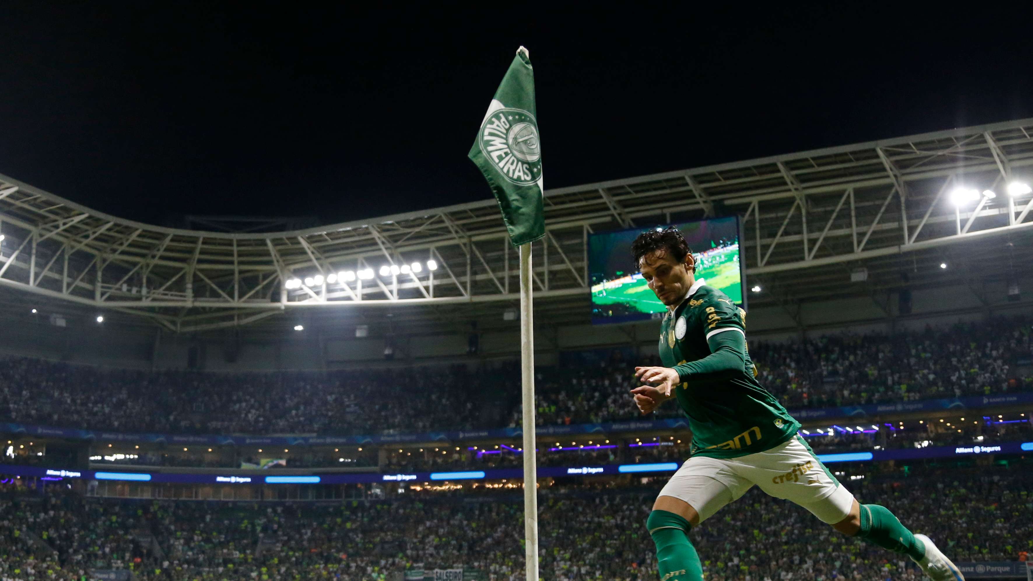 Palmeiras v Botafogo - Brasileirao 2024