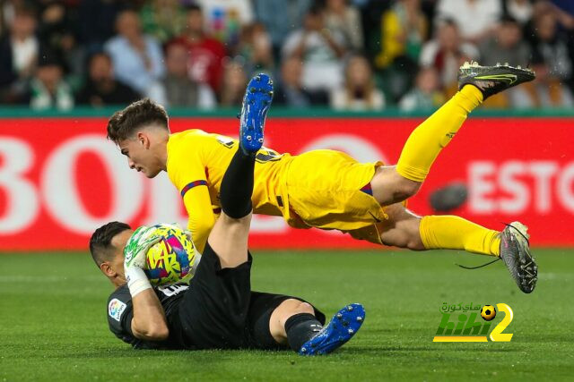 dortmund vs hoffenheim