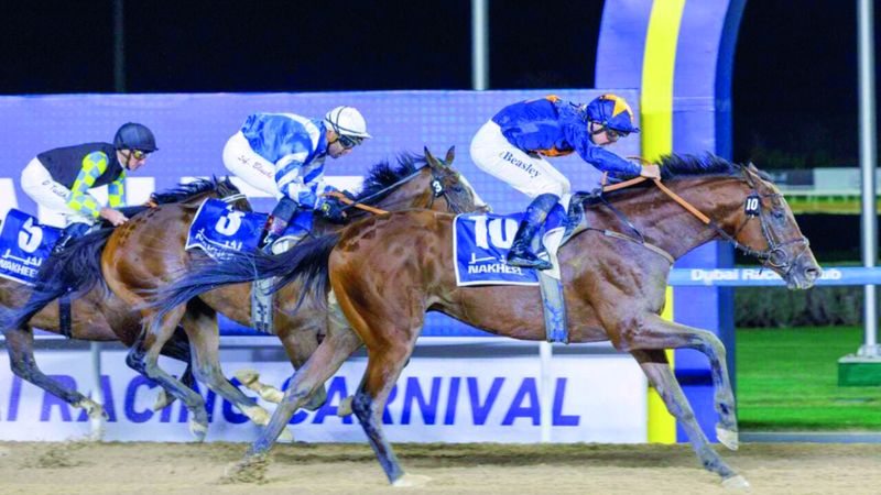 | «دبي لسباق الخيل» يتلقى 300 طلب مشاركة في سباقاته