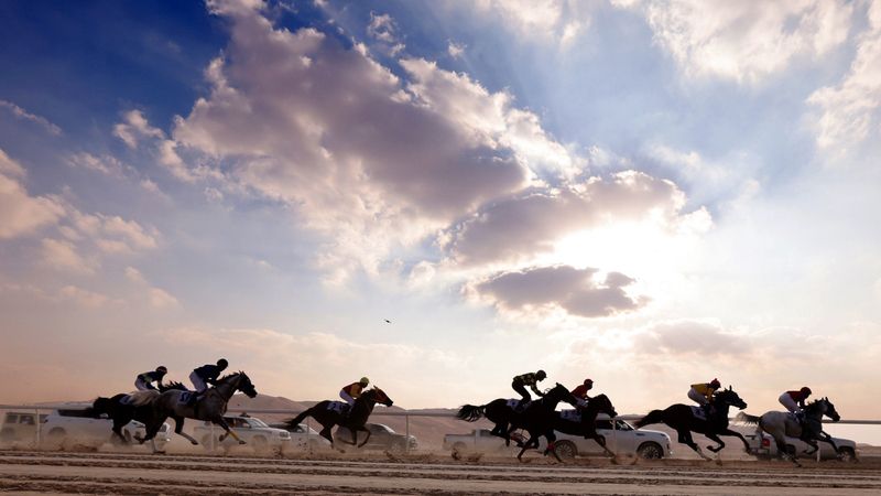 | «العريق» و«شامخ» يتصدران الخيول العربية في مهرجان ليوا الدولي