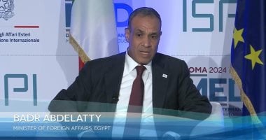 وزير الخارجية: مشروع الربط البرى بين مصر وتشاد ممر كبير للتنمية