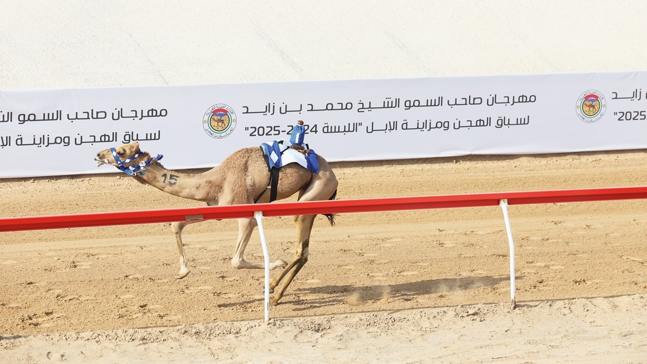 zamalek vs al masry